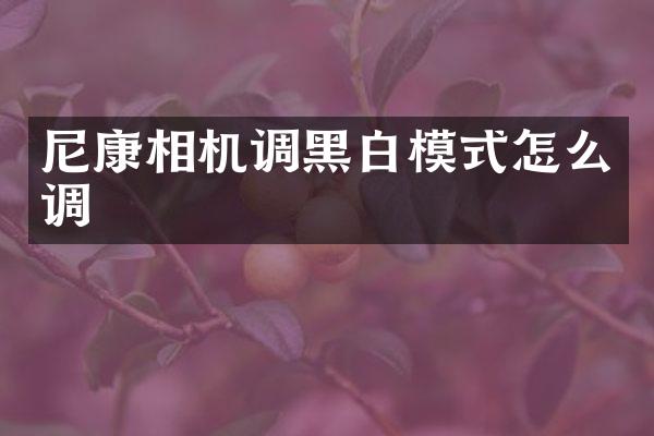 尼康相机调黑白模式怎么调
