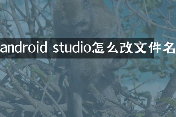 android studio怎么改文件名