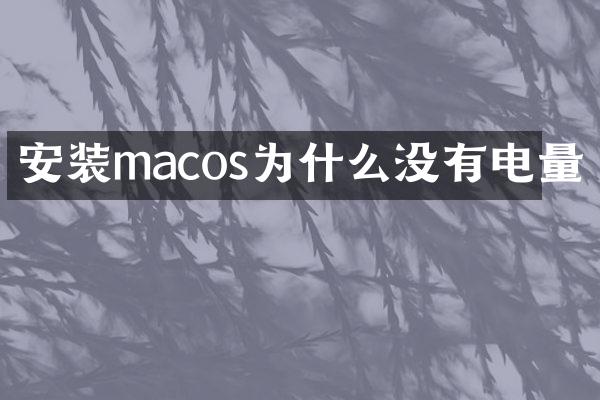 安装macos为什么没有电量