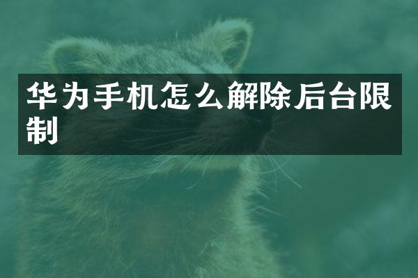 华为手机怎么解除后台限制