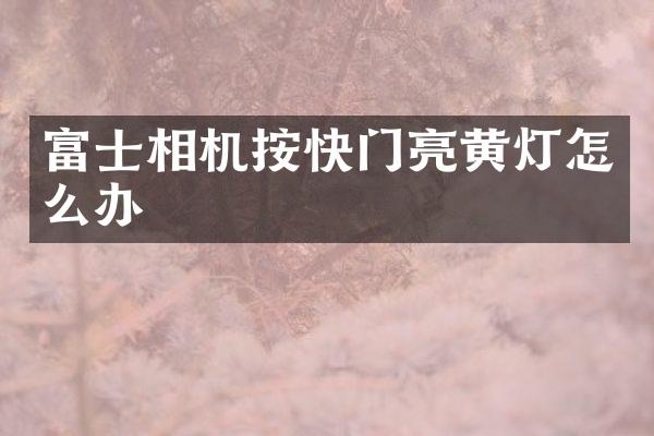 富士相机按快门亮黄灯怎么办
