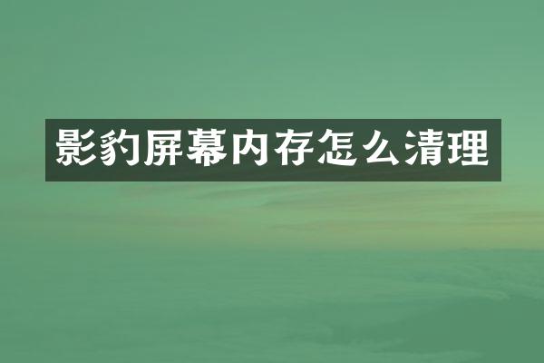影豹屏幕内存怎么清理