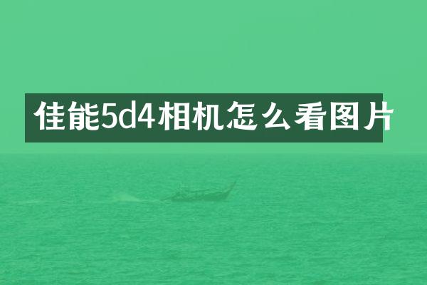 佳能5d4相机怎么看图片