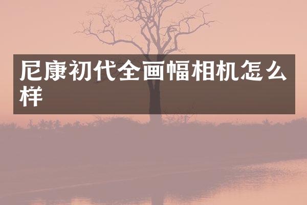 尼康初代全画幅相机怎么样