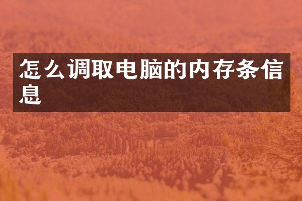 怎么调取电脑的内存条信息