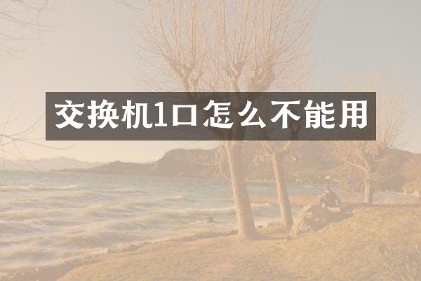 交换机1口怎么不能用