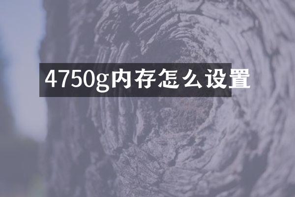 4750g内存怎么设置