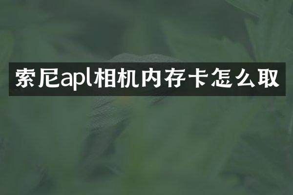 apl相机内存卡怎么取