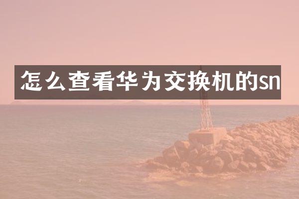 怎么查看华为交换机的sn