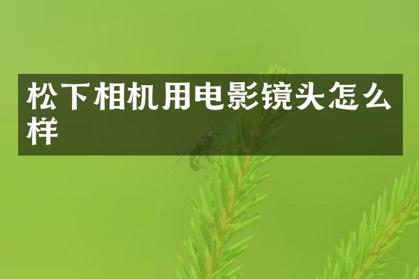 相机用电影镜头怎么样