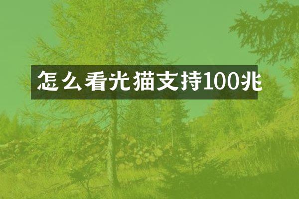 怎么看光猫支持100兆