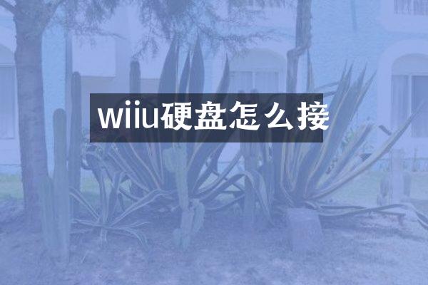 wiiu硬盘怎么接
