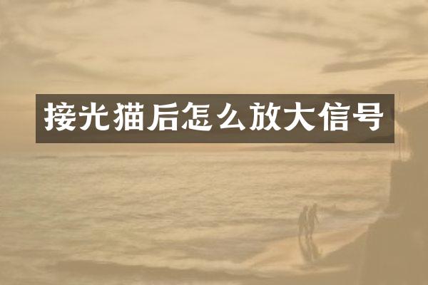 接光猫后怎么放大信号