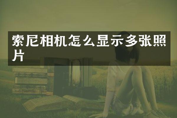 相机怎么显示多张照片