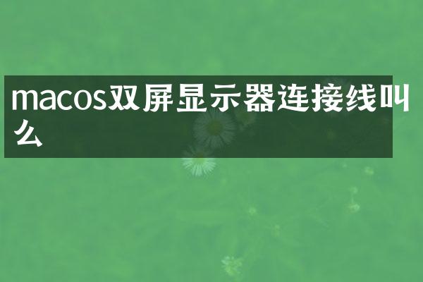 macos双屏显示器连接线叫什么