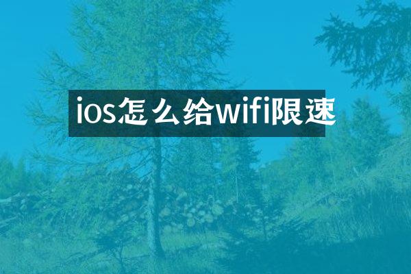 ios怎么给wifi限速