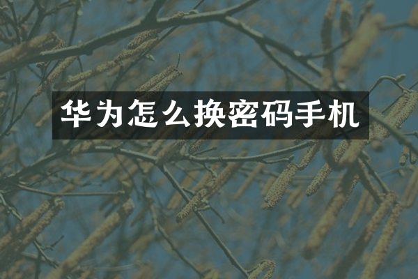 华为怎么换密码手机