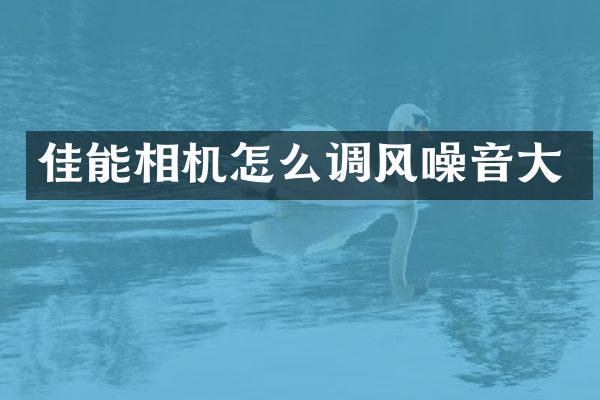 佳能相机怎么调风噪音大