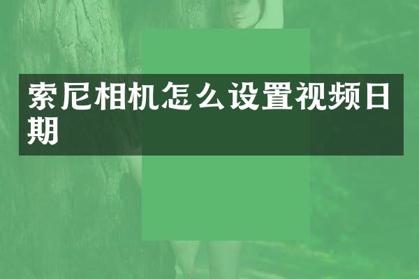 相机怎么设置视频日期