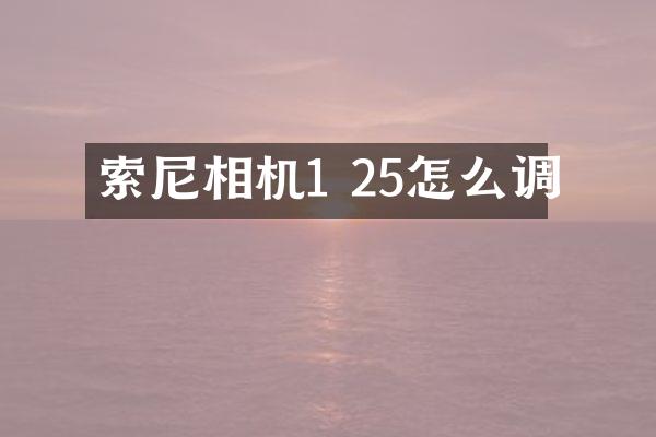 相机1 25怎么调