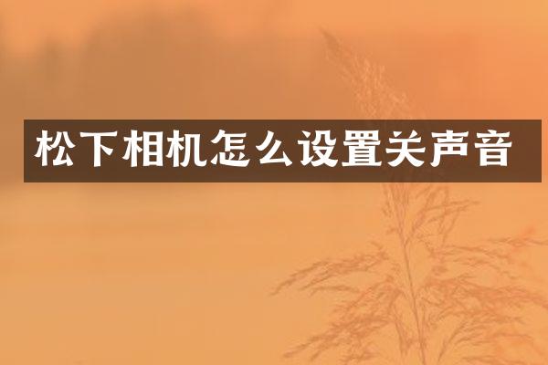 相机怎么设置关声音