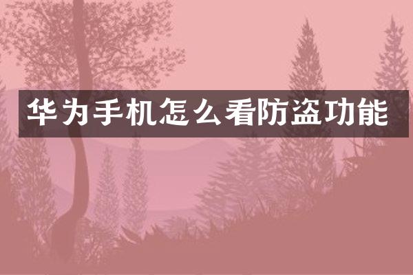 华为手机怎么看防盗功能