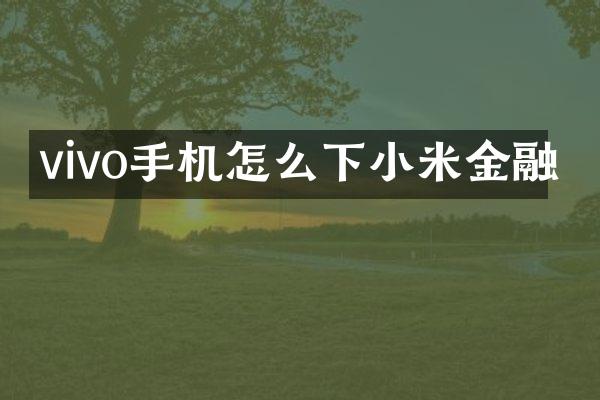 vivo手机怎么下小米金融