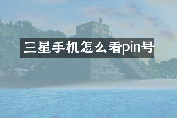 三星手机怎么看pin号