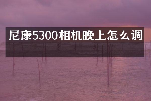 尼康5300相机晚上怎么调亮