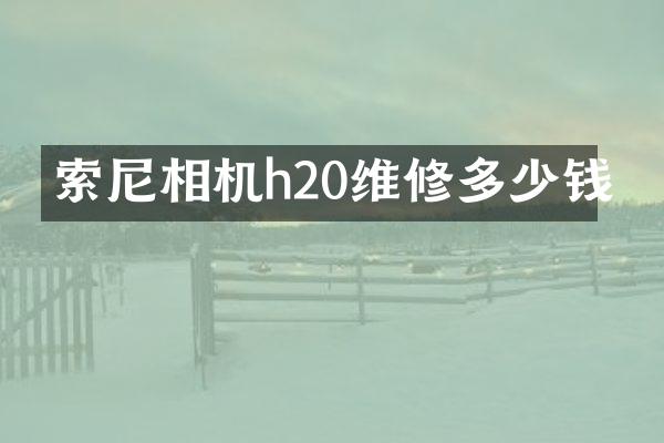 相机h20维修多少钱