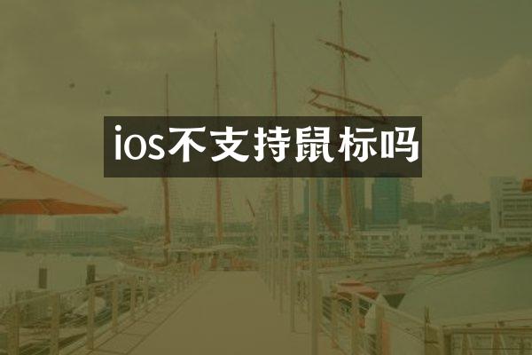 ios不支持鼠标吗