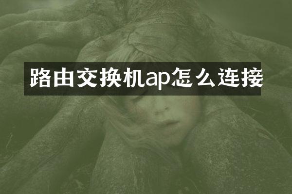 路由交换机ap怎么连接