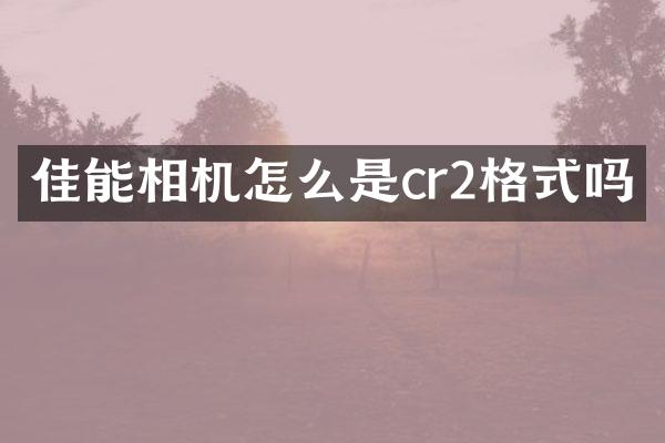 佳能相机怎么是cr2格式吗