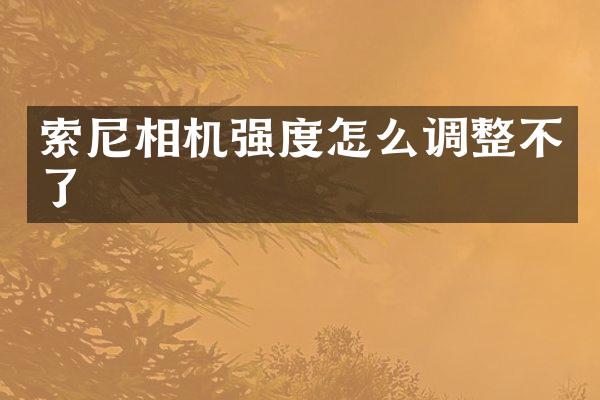 相机强度怎么调整不了