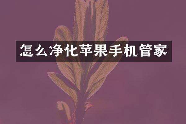 怎么净化苹果手机管家