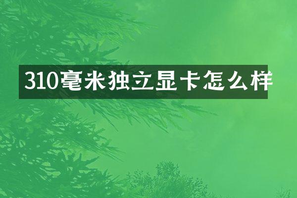 310毫米独立显卡怎么样