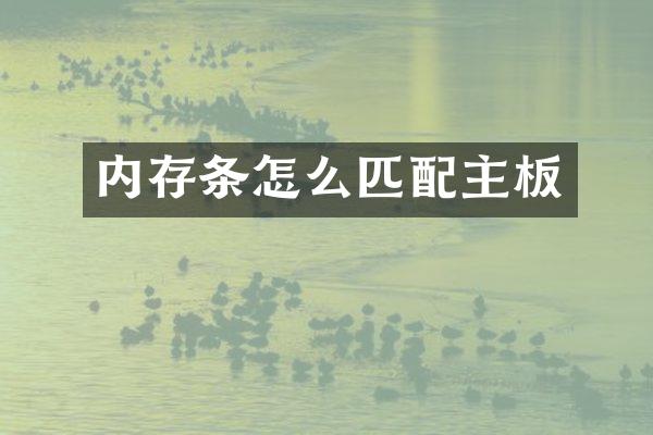 内存条怎么匹配主板