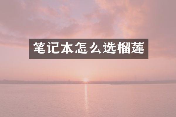 笔记本怎么选榴莲