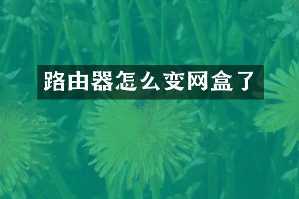 路由器怎么变网盒了