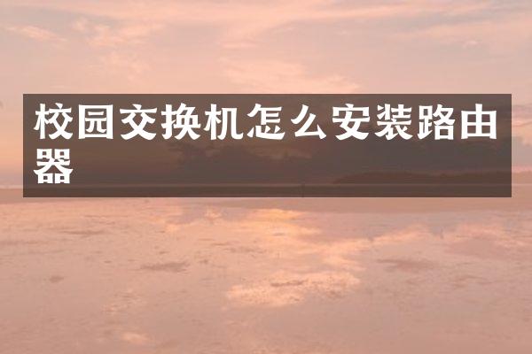校园交换机怎么安装路由器