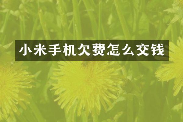 小米手机欠费怎么交钱