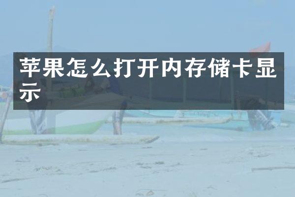 苹果怎么打开内存储卡显示