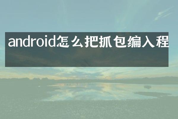 android怎么把抓包编入程序