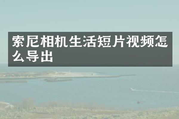 相机生活短片视频怎么导出