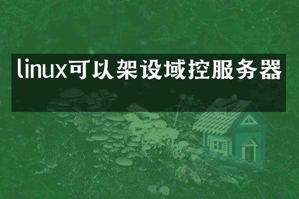 linux可以架设域控服务器吗