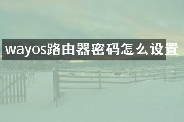 wayos路由器密码怎么设置