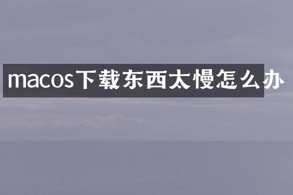macos下载东西太慢怎么办