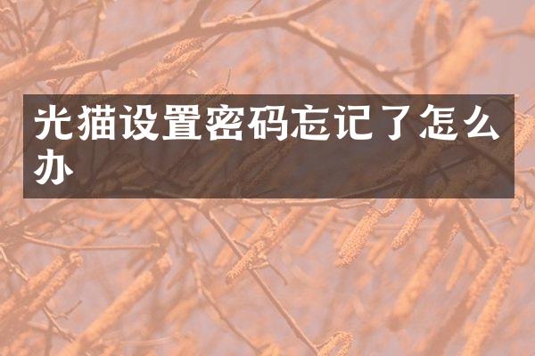 光猫设置密码忘记了怎么办