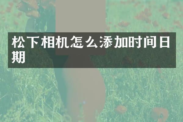 相机怎么添加时间日期