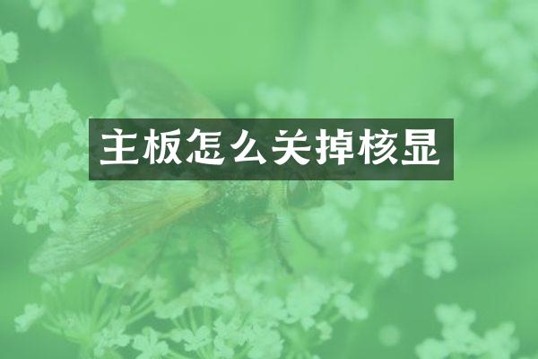 主板怎么关掉核显
